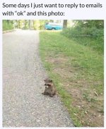 emailreply.jpg