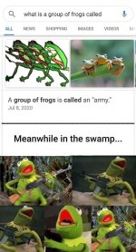 groupoffrogs.jpg
