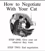 catnegotiation.jpg