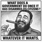 disarmedcitizens.jpeg