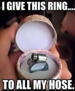 hosering.png