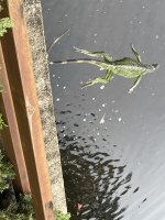 IMG_5765.jpeg IMG_5765.jpeg