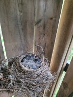 20250605_143311.jpg 20250605_143311.jpg