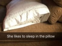 pillowsleep.jpg
