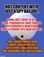 chinafungus.jpeg