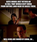 chinaowneddems.jpeg