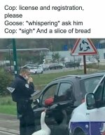 gooseaskhim.jpg