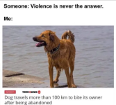 1749414764444.png