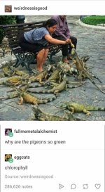 goodwierdness.jpeg