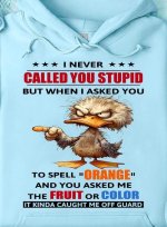 calledstupid.jpeg