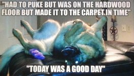 hadtopuke.jpeg