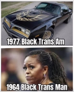 1749822130267.png