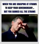 bannedstraws.jpg