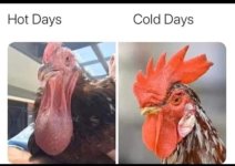 hotdays.jpg