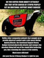1750026052635.png