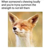 1000036697.jpg