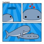 whalelove.jpeg