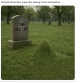 johnmccaingrave.webp