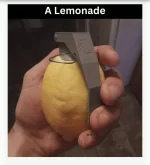 givelemonaide.webp