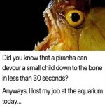 piranha.jpeg