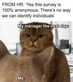 survey.jpg