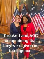 nointelligence.jpeg