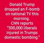 domesticbombing.webp