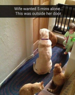1750946599900.png