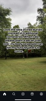 treeburial.jpg