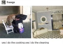 cookingcleaning.jpg