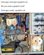 graphicscat.jpg