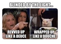 blindedbythelight.jpeg