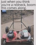 twinmower.jpg