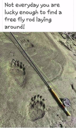 1751227035142.png