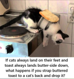 1751241691749.png