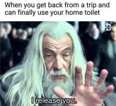 usetoilet.jpg
