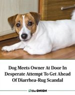 dogscandle.jpeg
