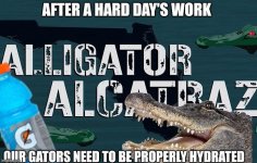 gatoraide.jpeg