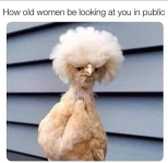 1751409442034.png