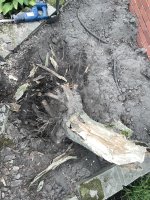 IMG_6050.jpeg