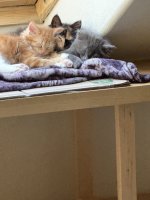 IMG_5851.jpeg