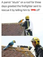 IMG_1973.jpeg