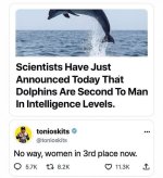 FB_IMG_1753223350635.jpeg