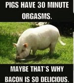 IMG_2134.jpeg