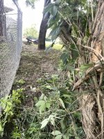 IMG_6371.jpeg