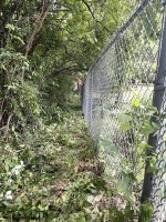 IMG_6370.jpeg