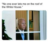 1000045271.jpg