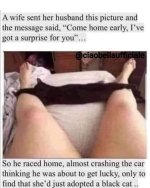 IMG_2565.jpeg