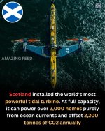 DYK932.jpg