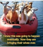 FB_IMG_1755711959695.jpeg